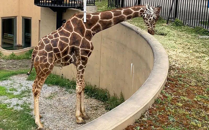 北海道社員旅行3
