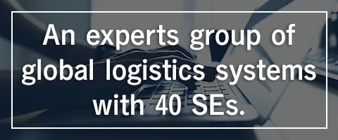 An experts group of global logistics systems with 40 SEs.