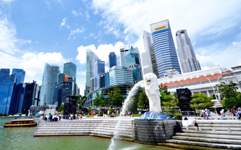 シンガポール現地法人のご案内のサムネイル画像